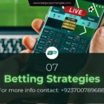 Betting exchange strategies guide for BetPro Exchange users